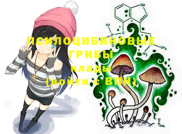 ALPHA PVP Баксан