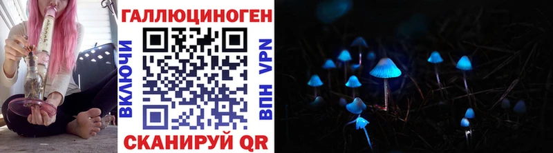 магазин продажи   Сухиничи  Псилоцибиновые грибы GOLDEN TEACHER 
